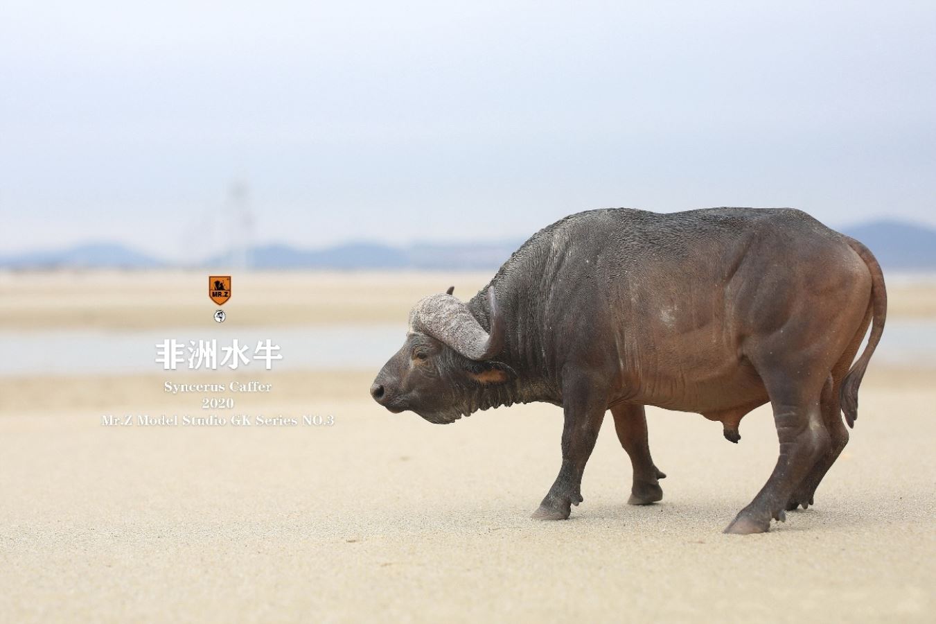 African buffalo 1/10