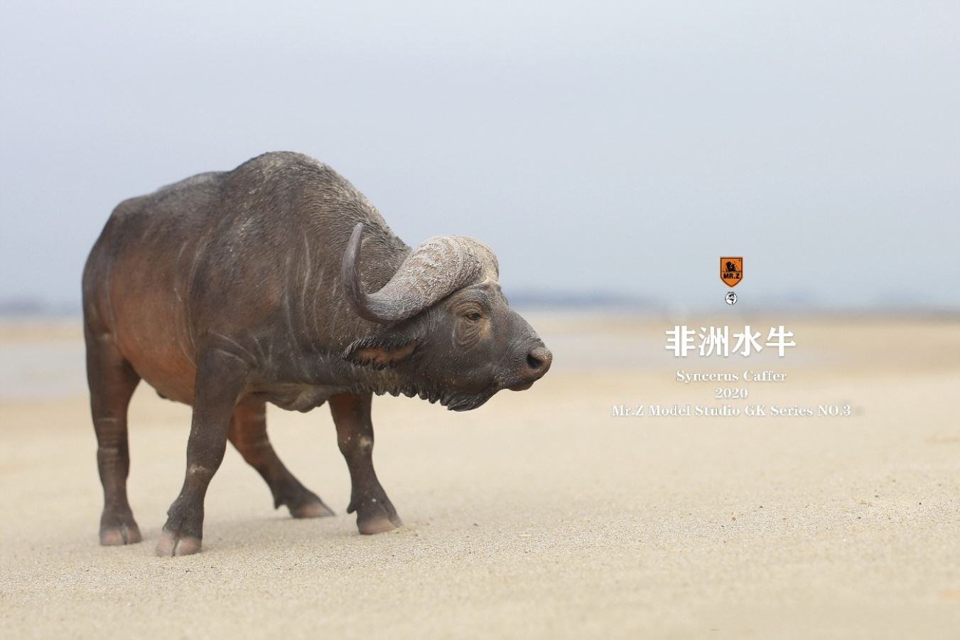 African buffalo 1/10