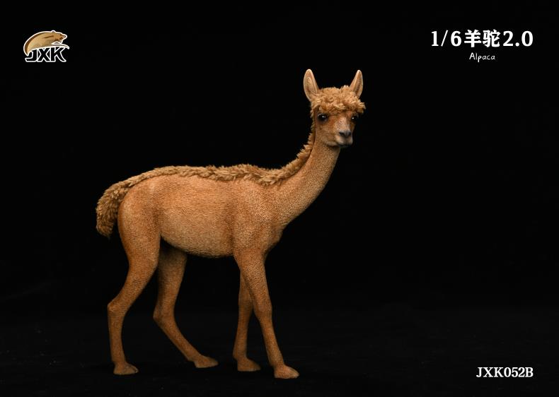 1/6 Alpaca 2.0