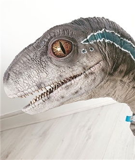 Jurassic-World-Baby-Blue