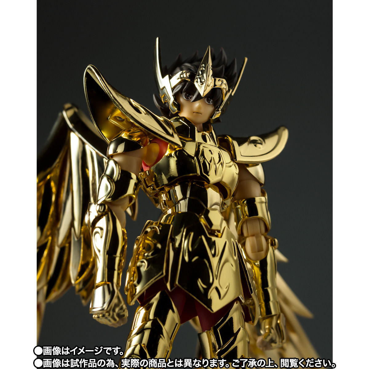 Saint Cloth Myth EX Sagittarius Seiya GOLD24