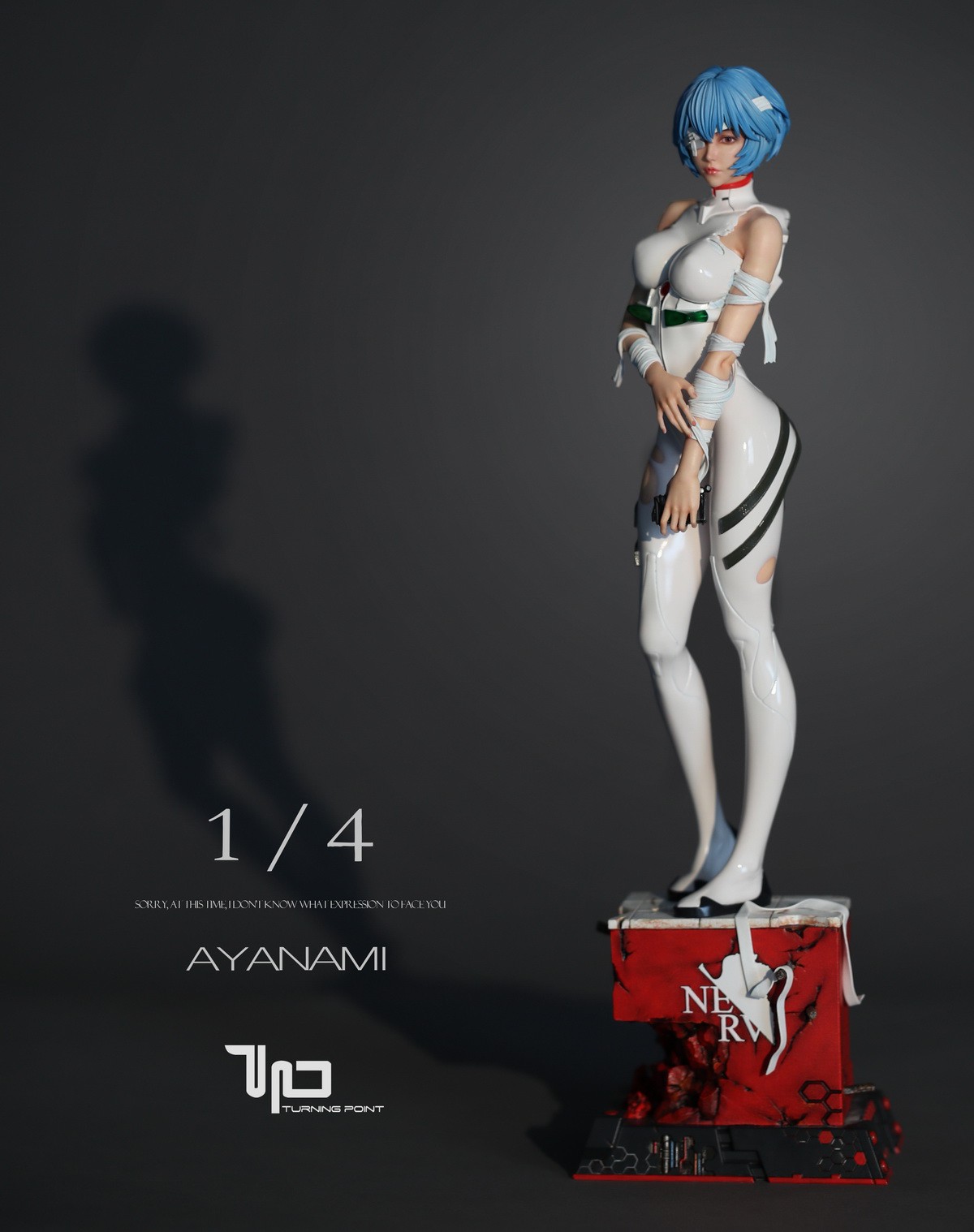 1/4 Rei AYANAMI