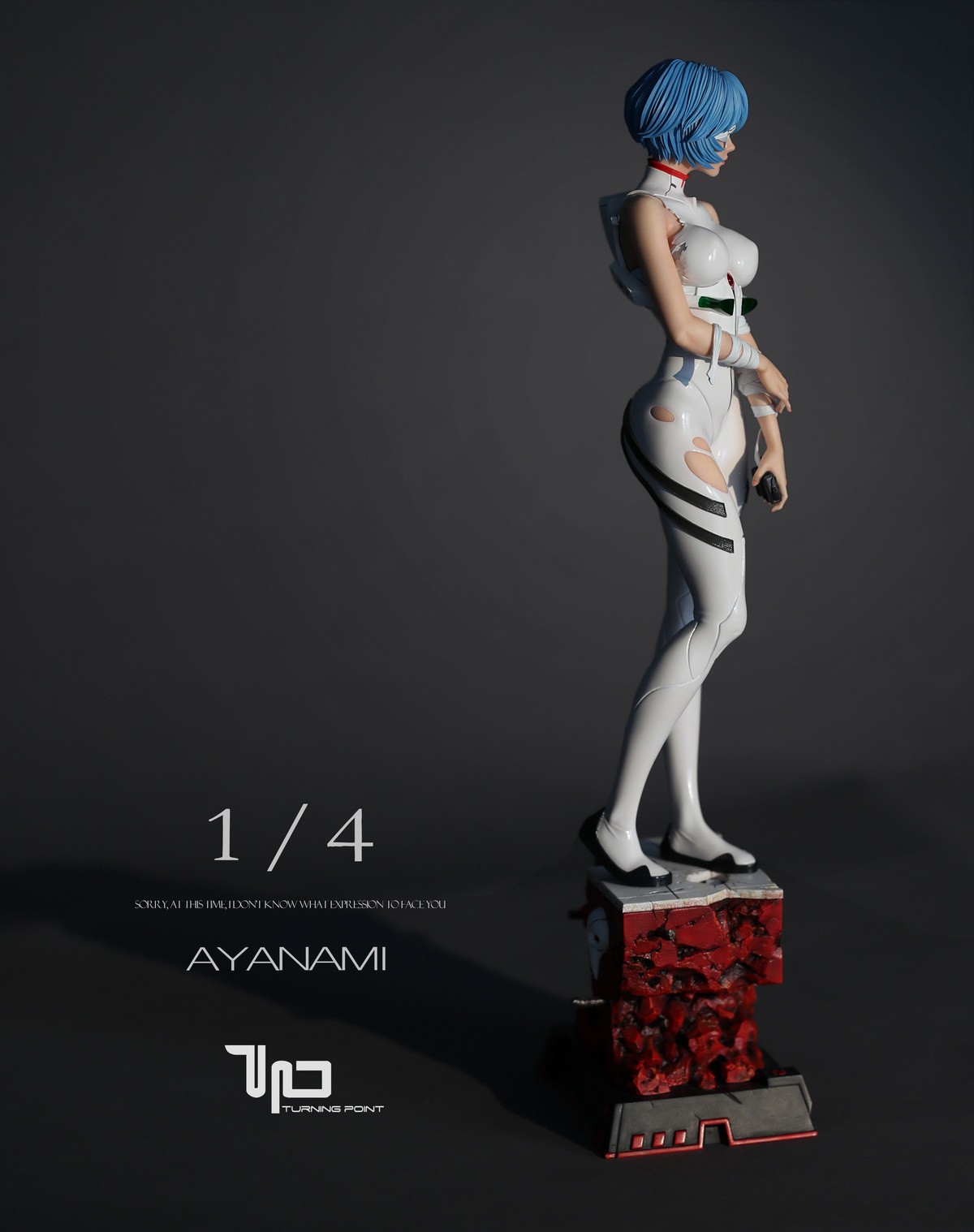 1/4 Rei AYANAMI