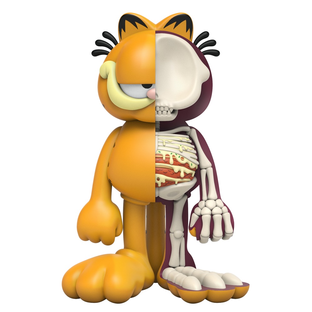 XXRAY Plus: Garfield