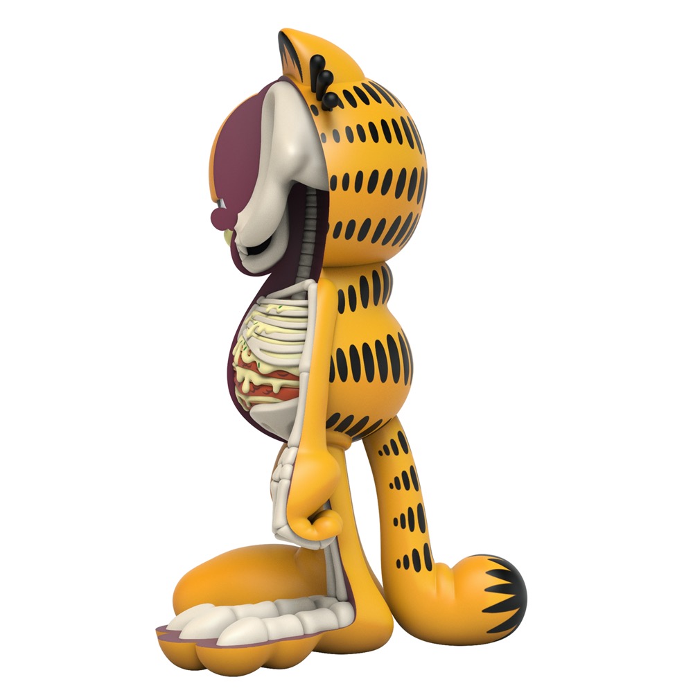 XXRAY Plus: Garfield