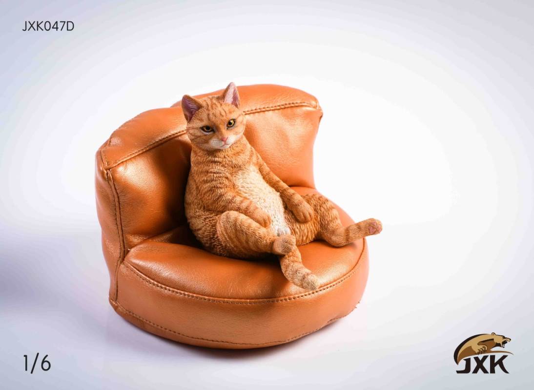 The cat 2.0 1/6