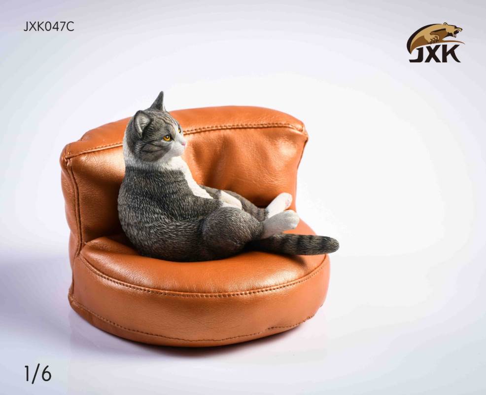 The cat 2.0 1/6