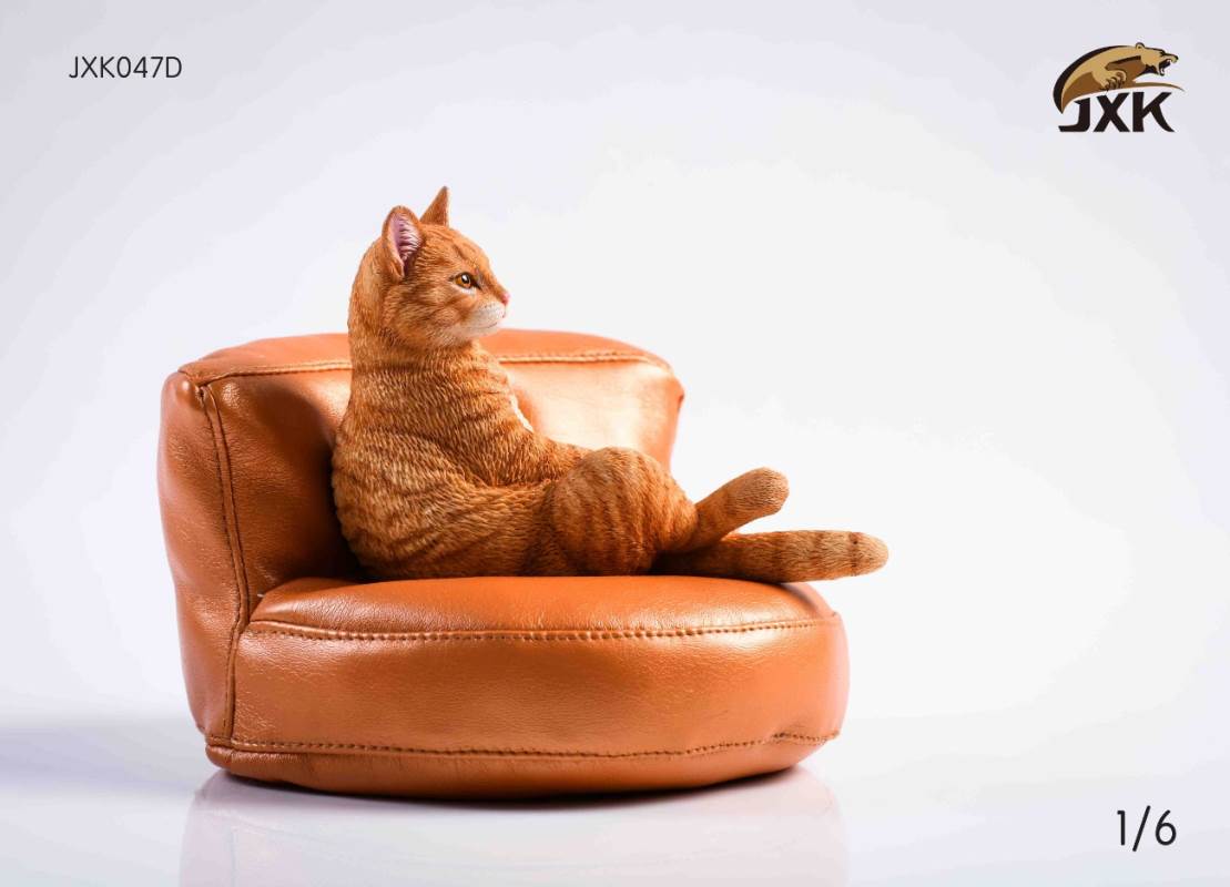 The cat 2.0 1/6