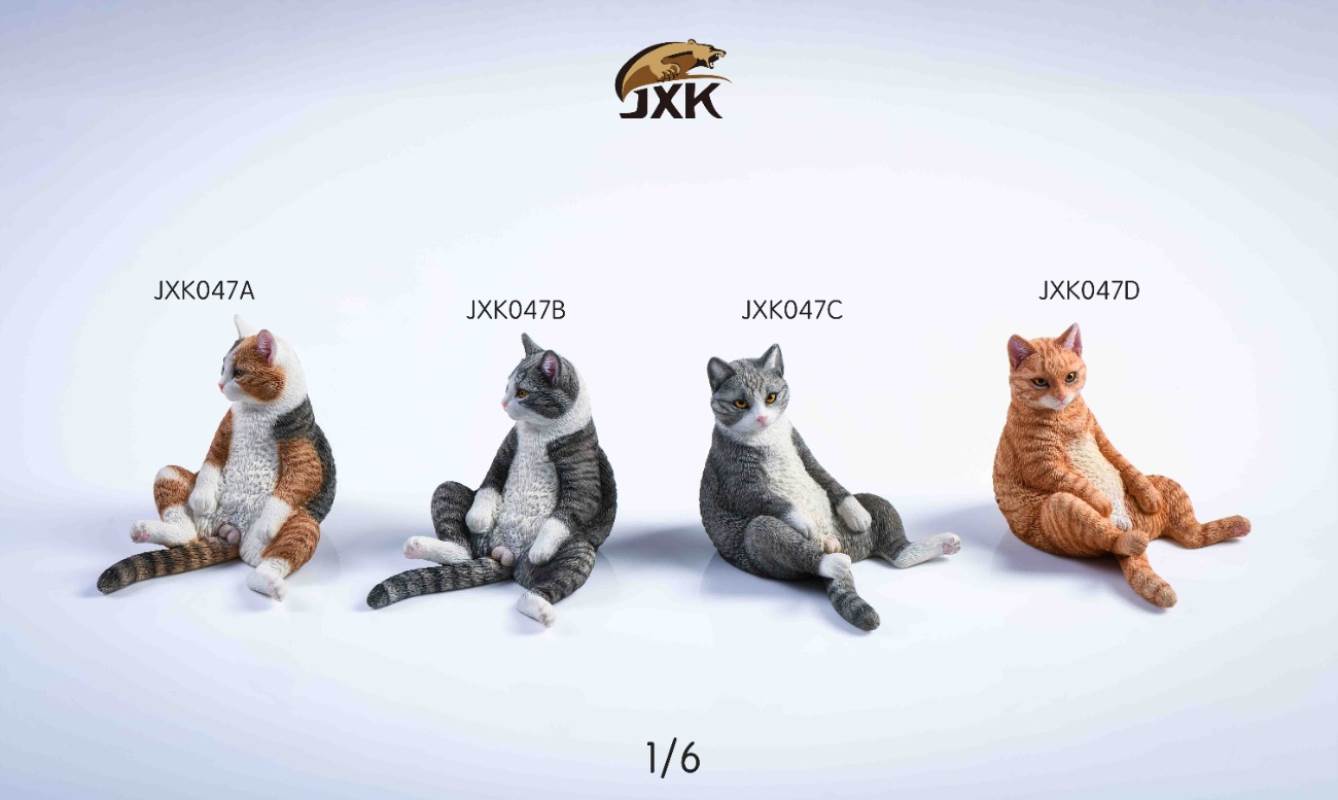The cat 2.0 1/6