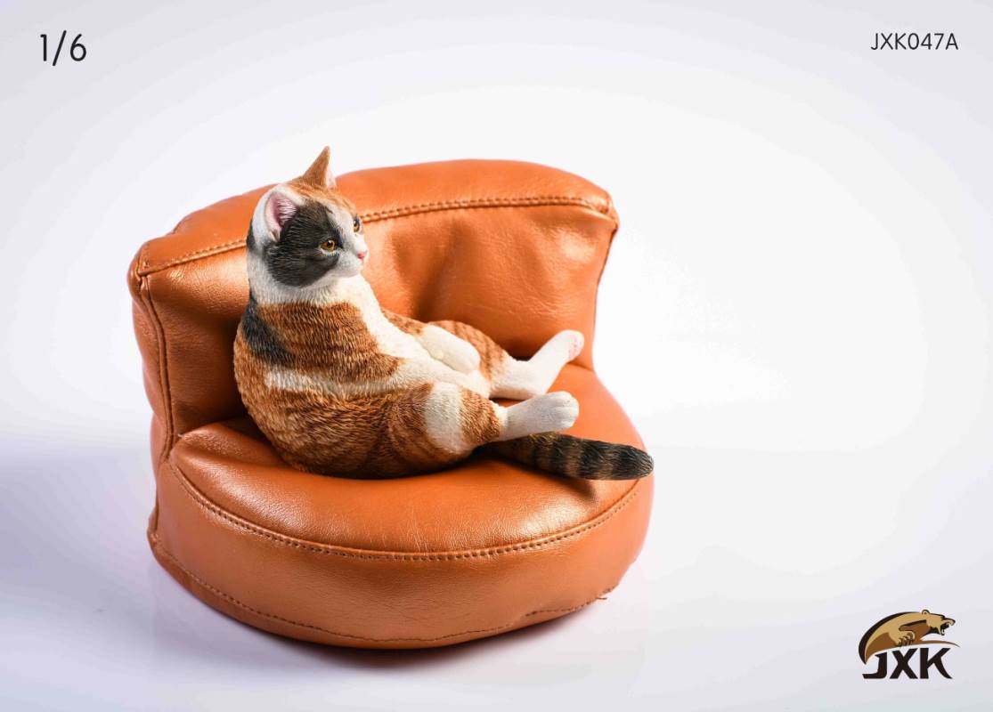 The cat 2.0 1/6
