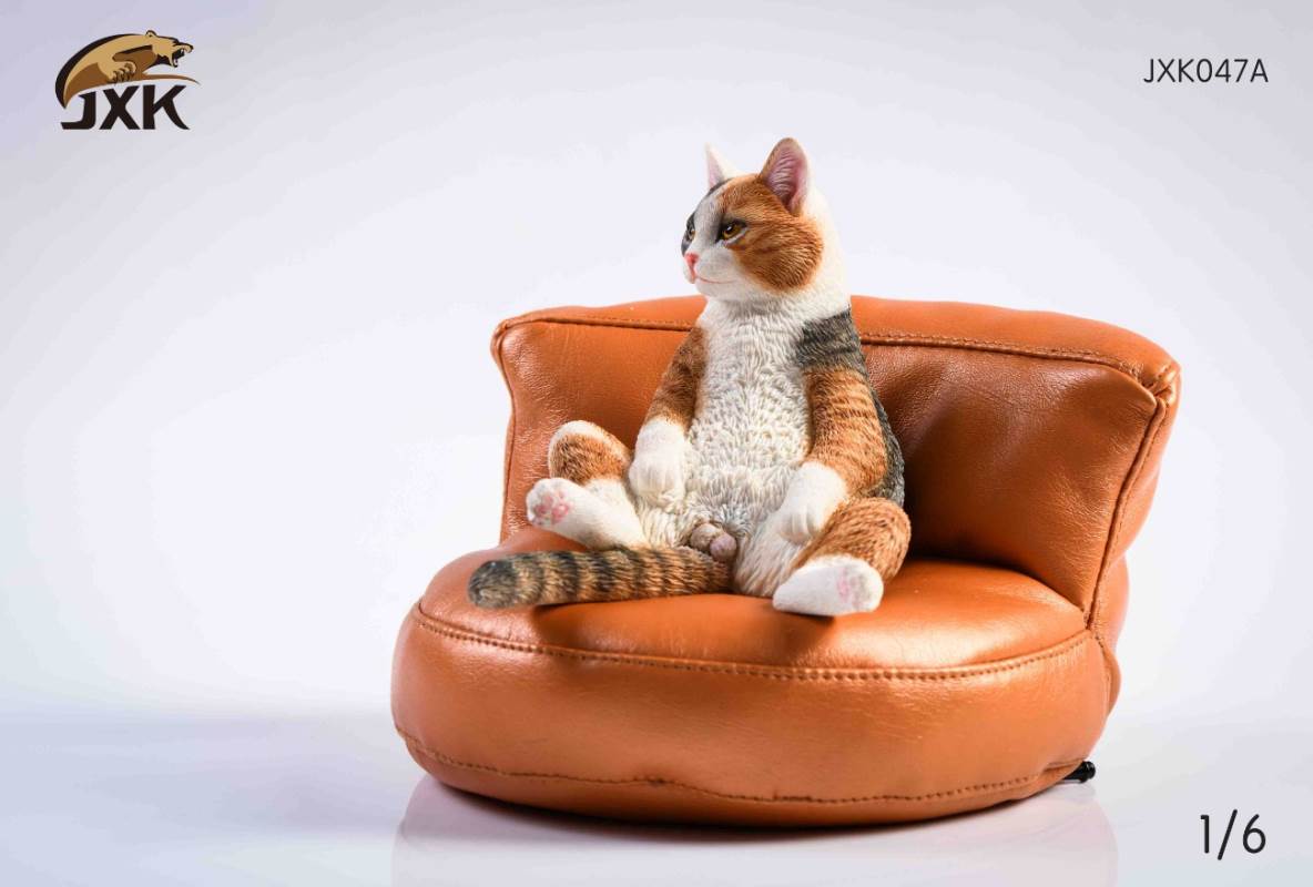 The cat 2.0 1/6