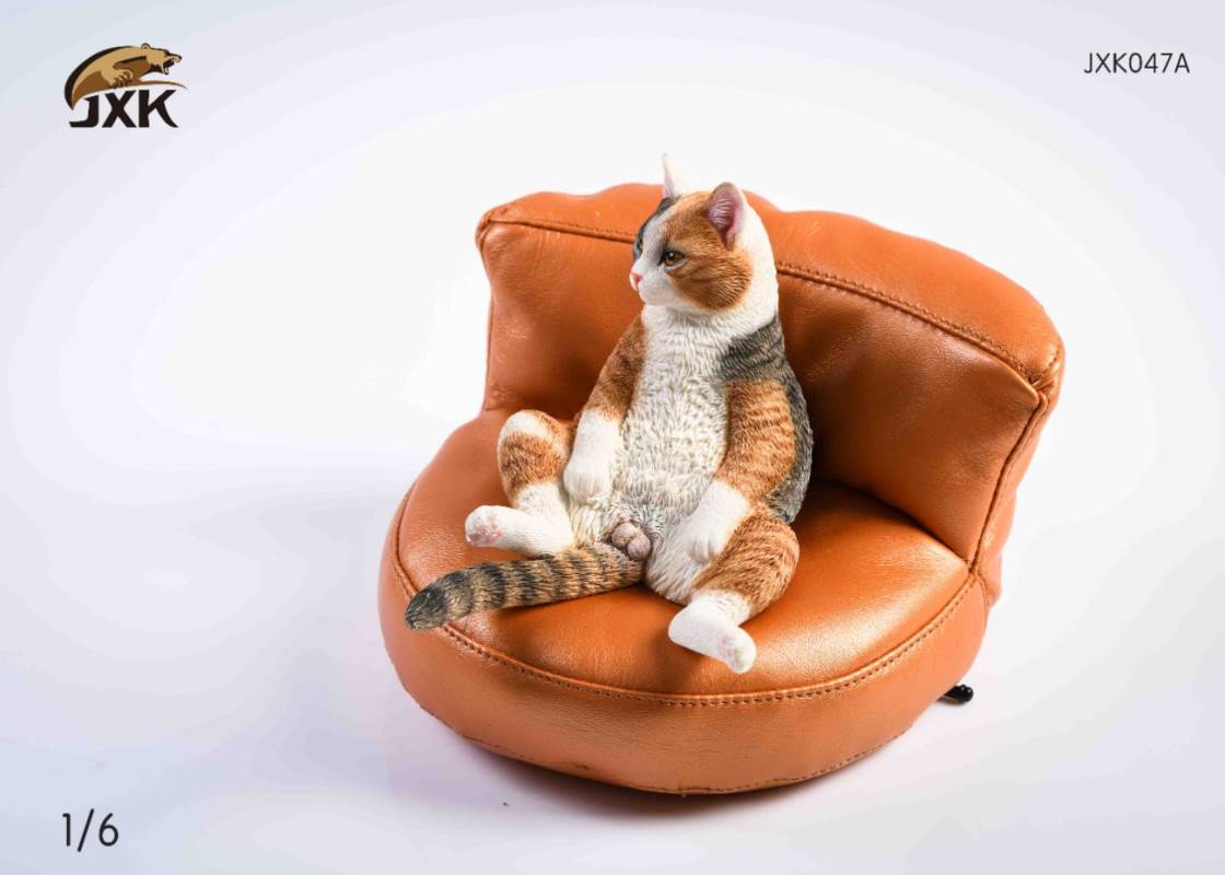 The cat 2.0 1/6