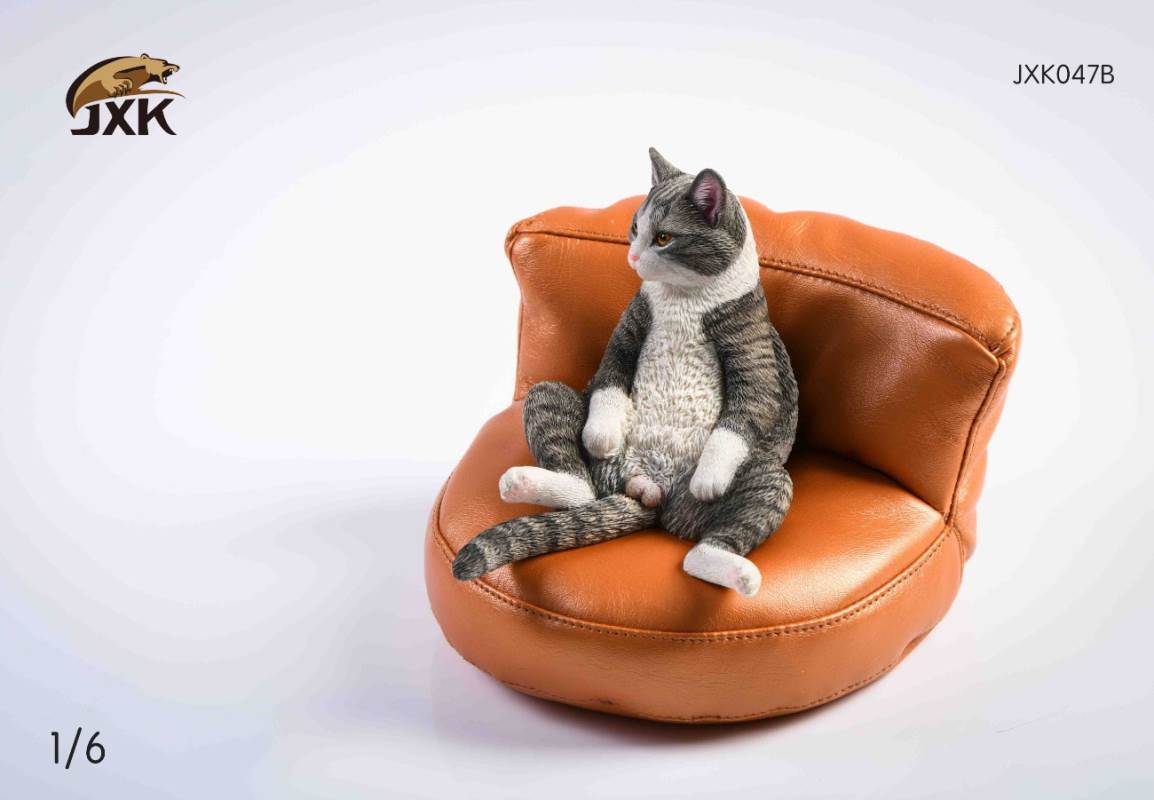 The cat 2.0 1/6