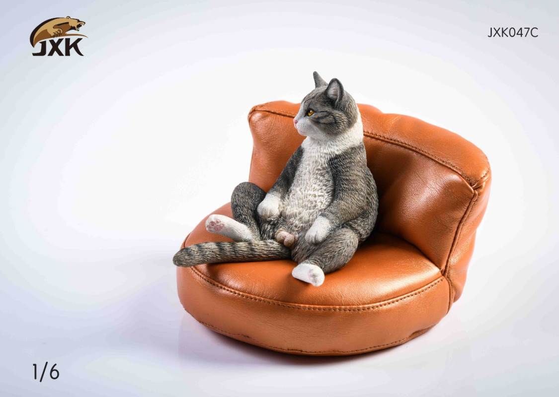 The cat 2.0 1/6