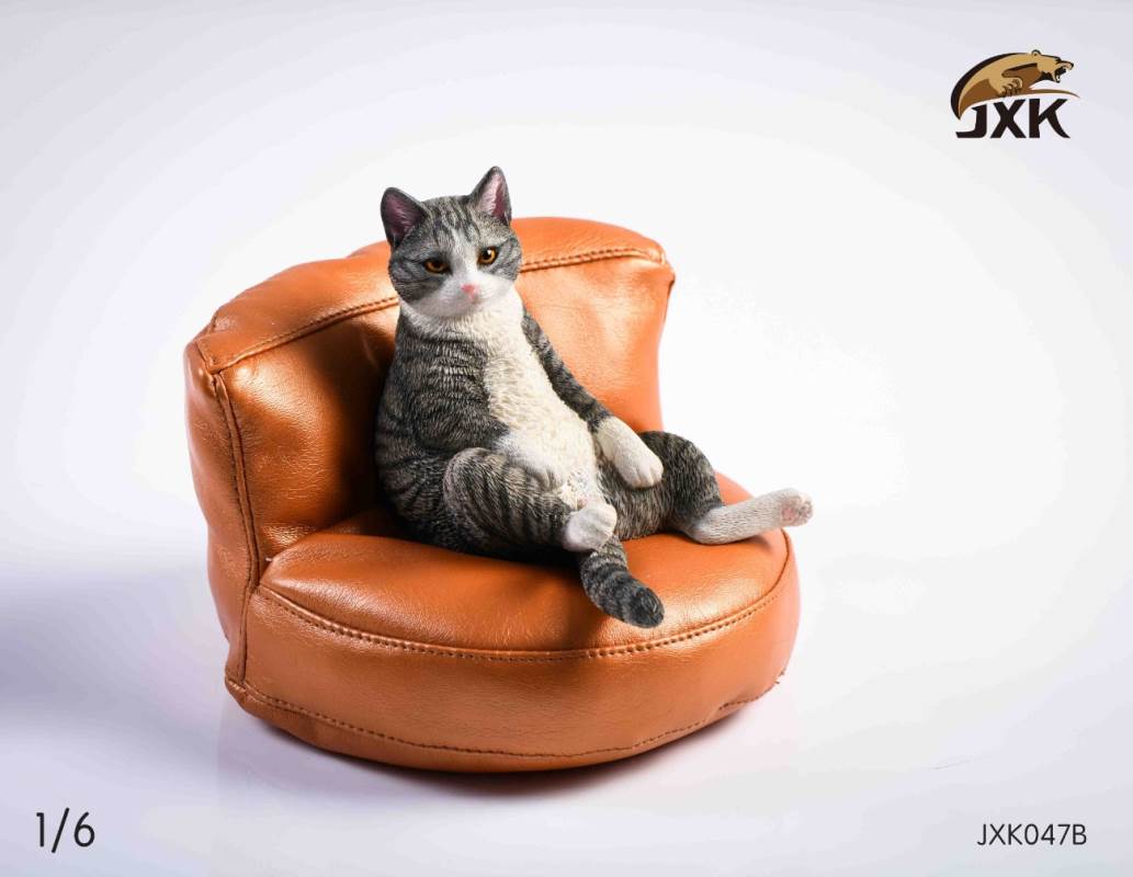 The cat 2.0 1/6