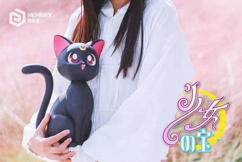 Sailor Moon Luna 1/1