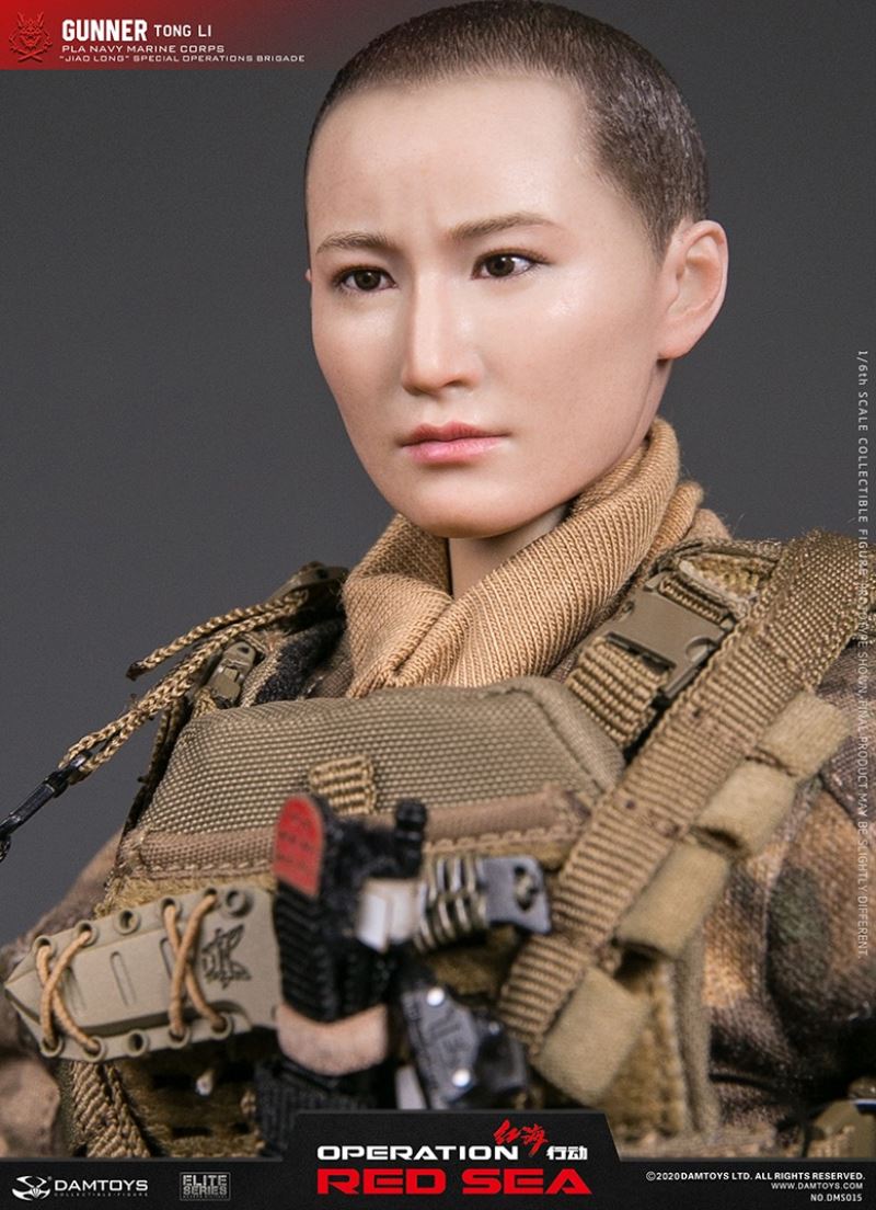 Special Operations Brigade female member 1/6 scale