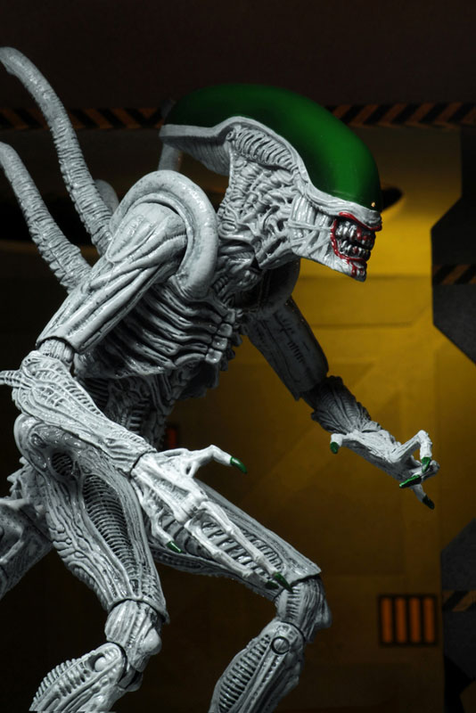 NYCC2019 Comic Con Limited DC Comics / Dark Horse / Batman vs Joker Alien 7inch Action Figure 2PK