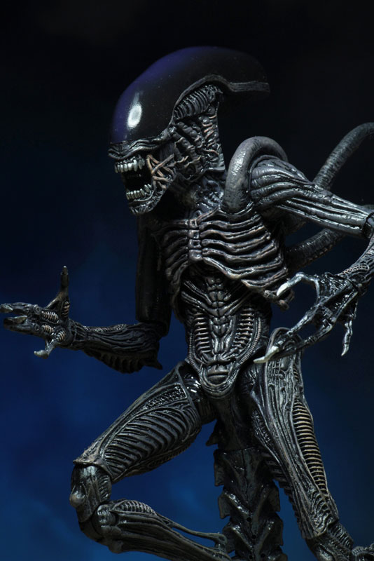 SDCC2019 Comic Con Limited DC Comics / Dark Horse / Superman vs Aliens 7inch Action Figure 2PK