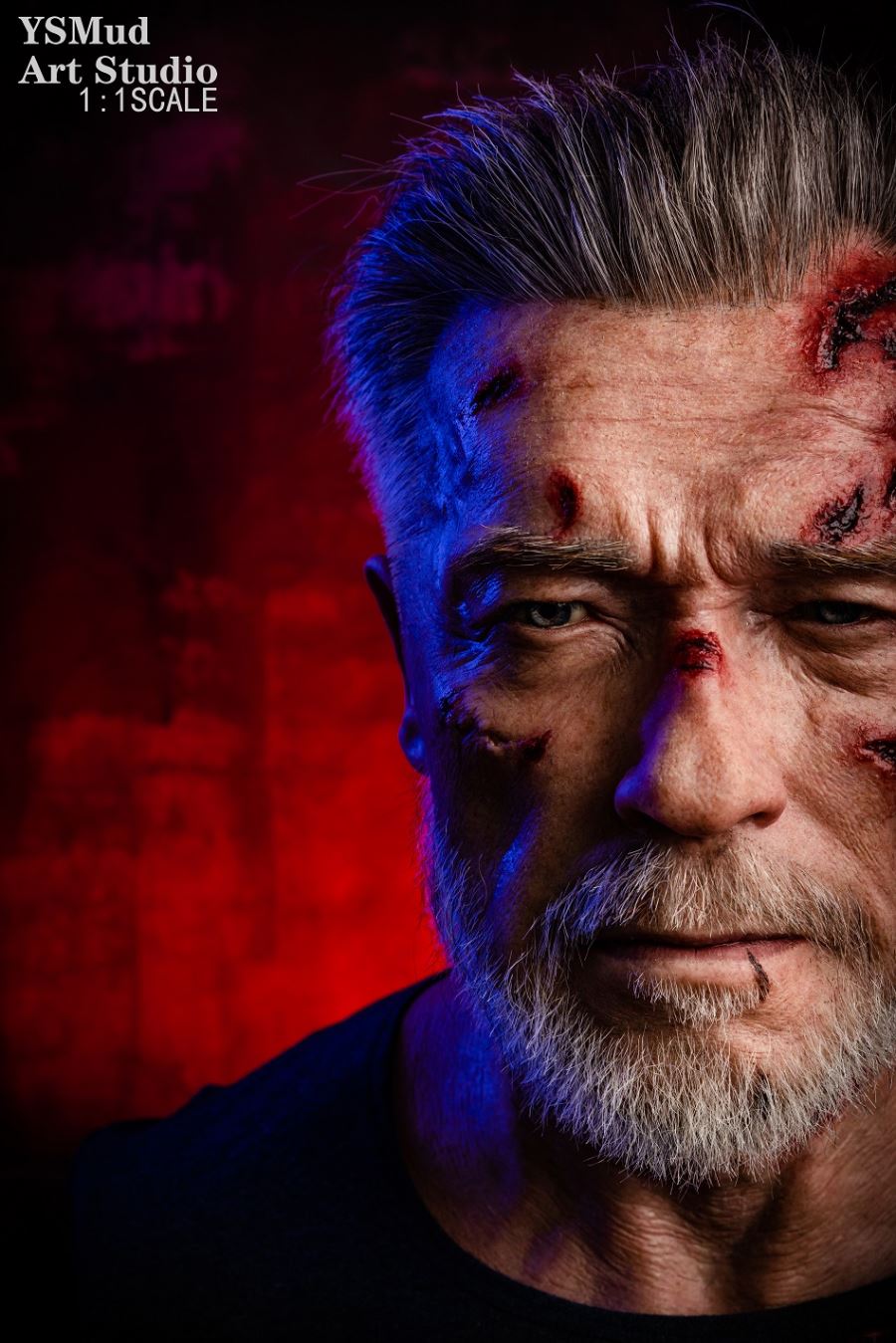 Artist customization terminator bust (old age version) 1/1