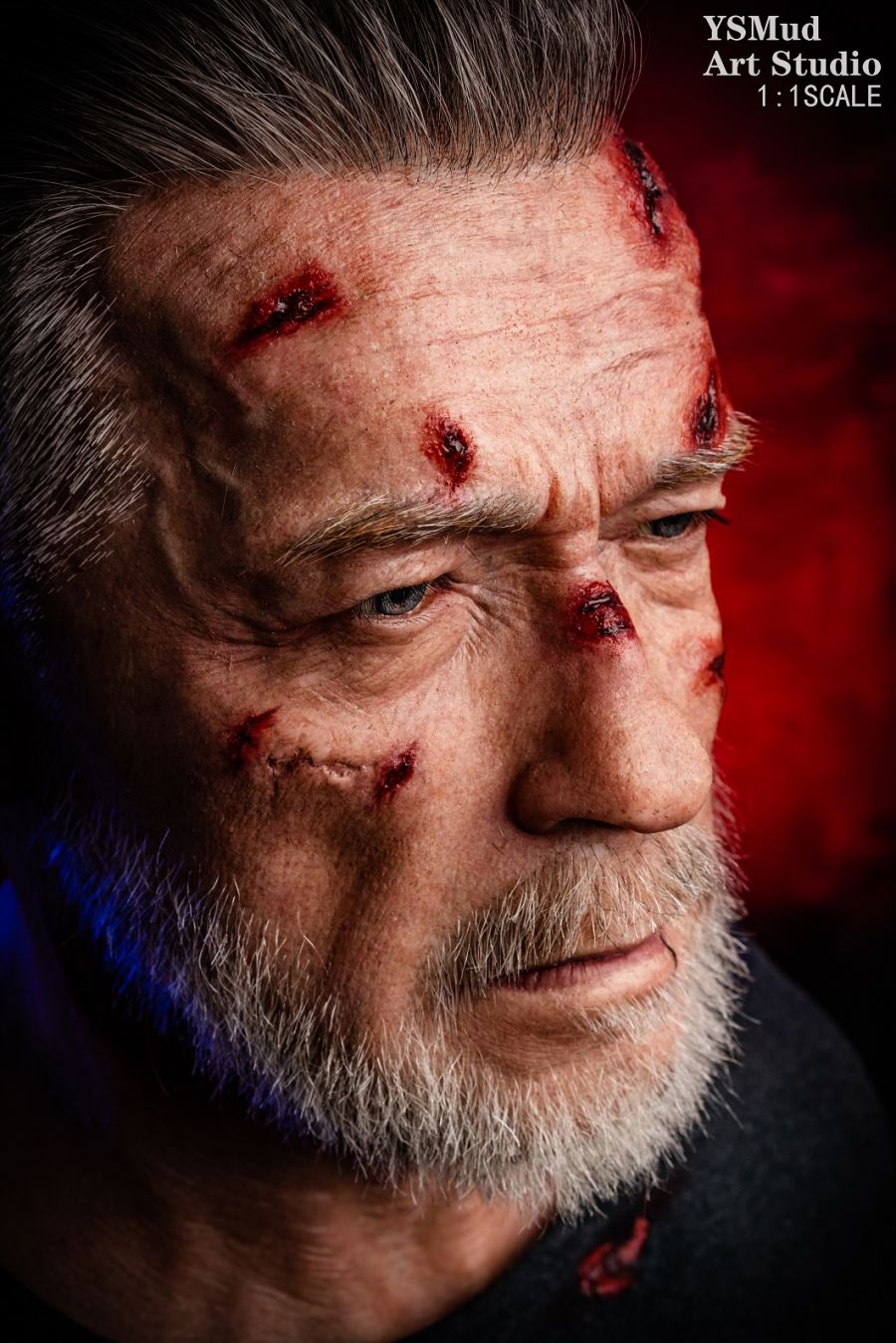Artist customization terminator bust (old age version) 1/1