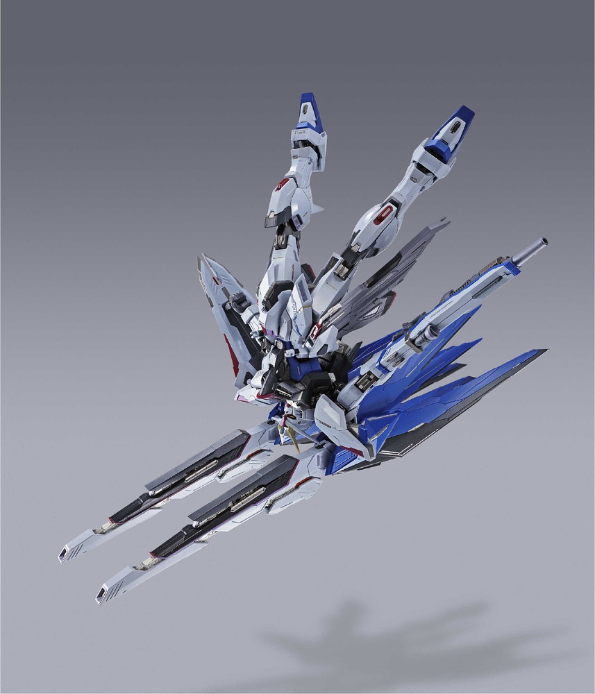 METAL BUILD Strike Freedom Gundam Concept2