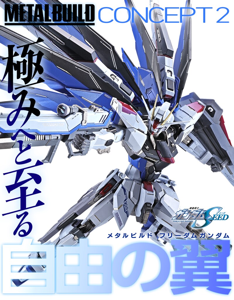 METAL BUILD Strike Freedom Gundam Concept2