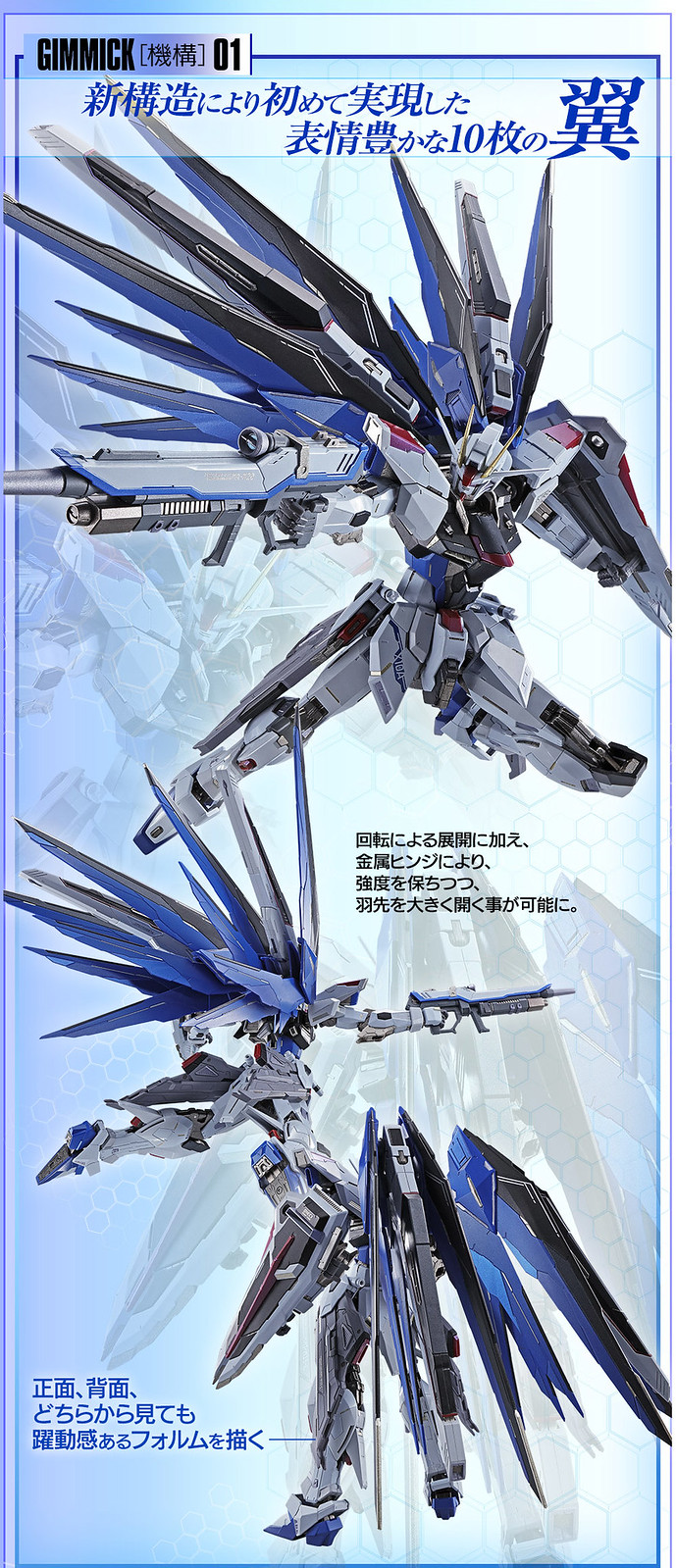 METAL BUILD Strike Freedom Gundam Concept2
