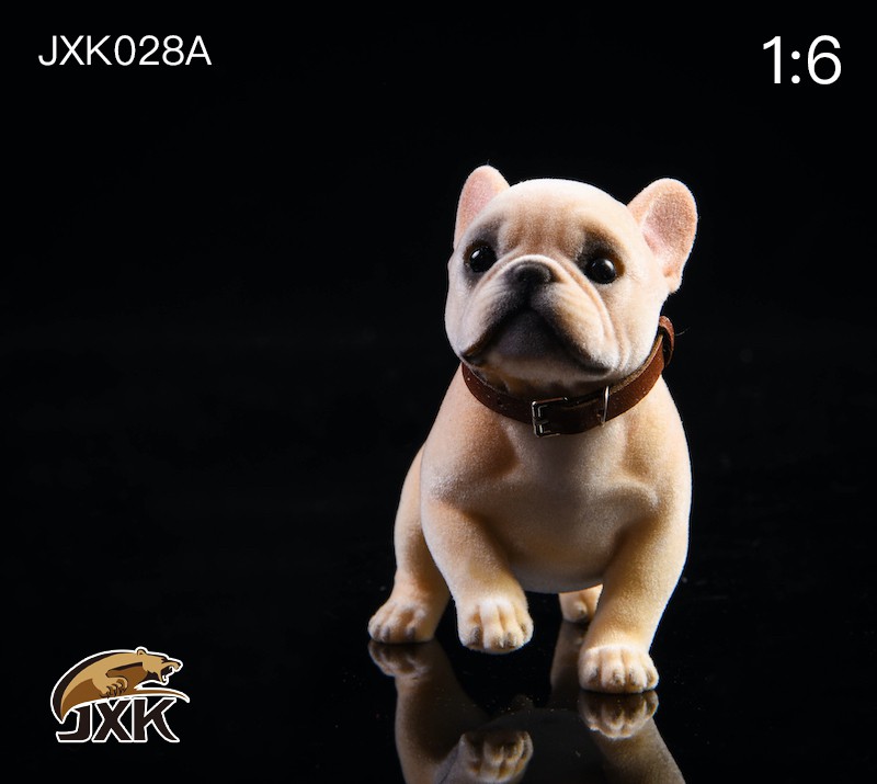 1/6 Tufted French Bulldog JXK028
