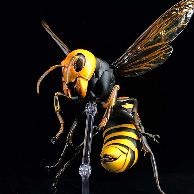 REVO GEO Big hornet