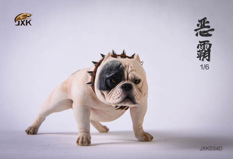 1/6 Bully Dog (JXK034)
