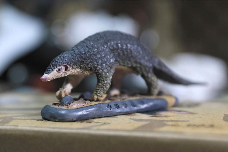 Animal GK model 1/6 Chinese pangolin