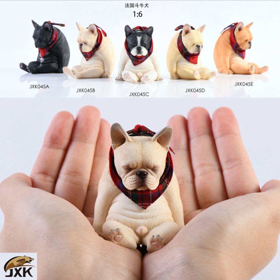 French bulldog