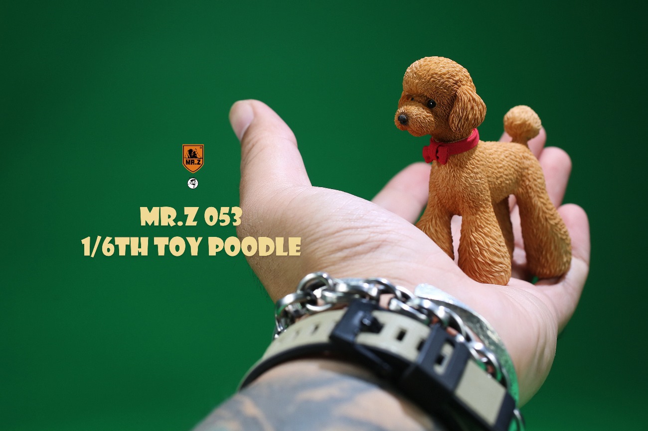 Animal Model NO. 53 ,Toy Poodle