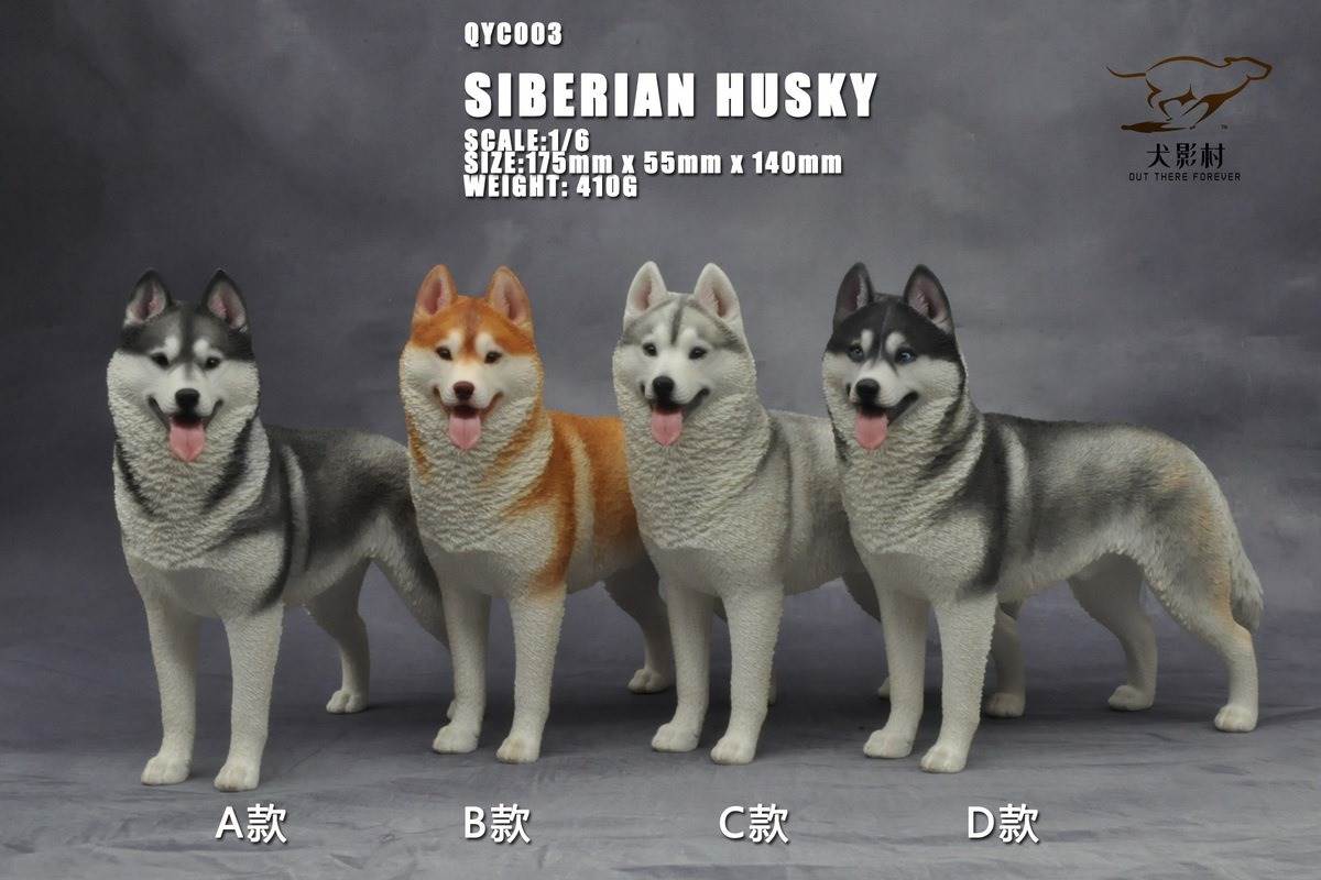 Husky 1/6 scale