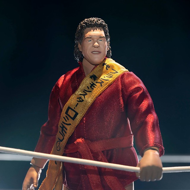 Andre the Giant ULTIMATES! Figure