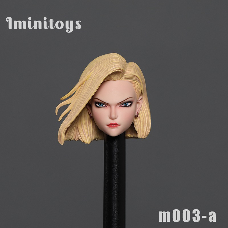 1/6 M003 1/12 M004 Artificial Human No. 18 Head Sculpture
