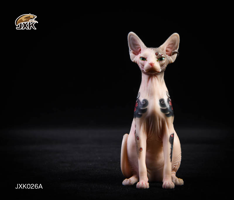 1/6 Tattooed Hairless Cat Sphinx