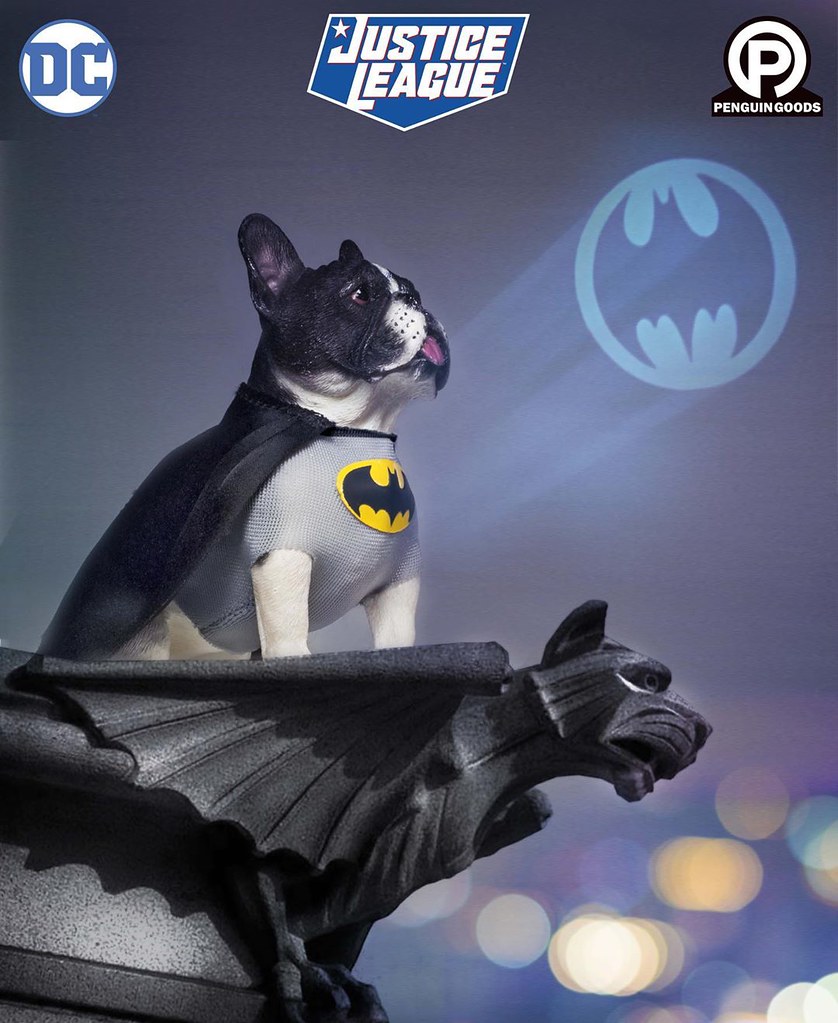 Mini Cosplay Dog #001 Batman