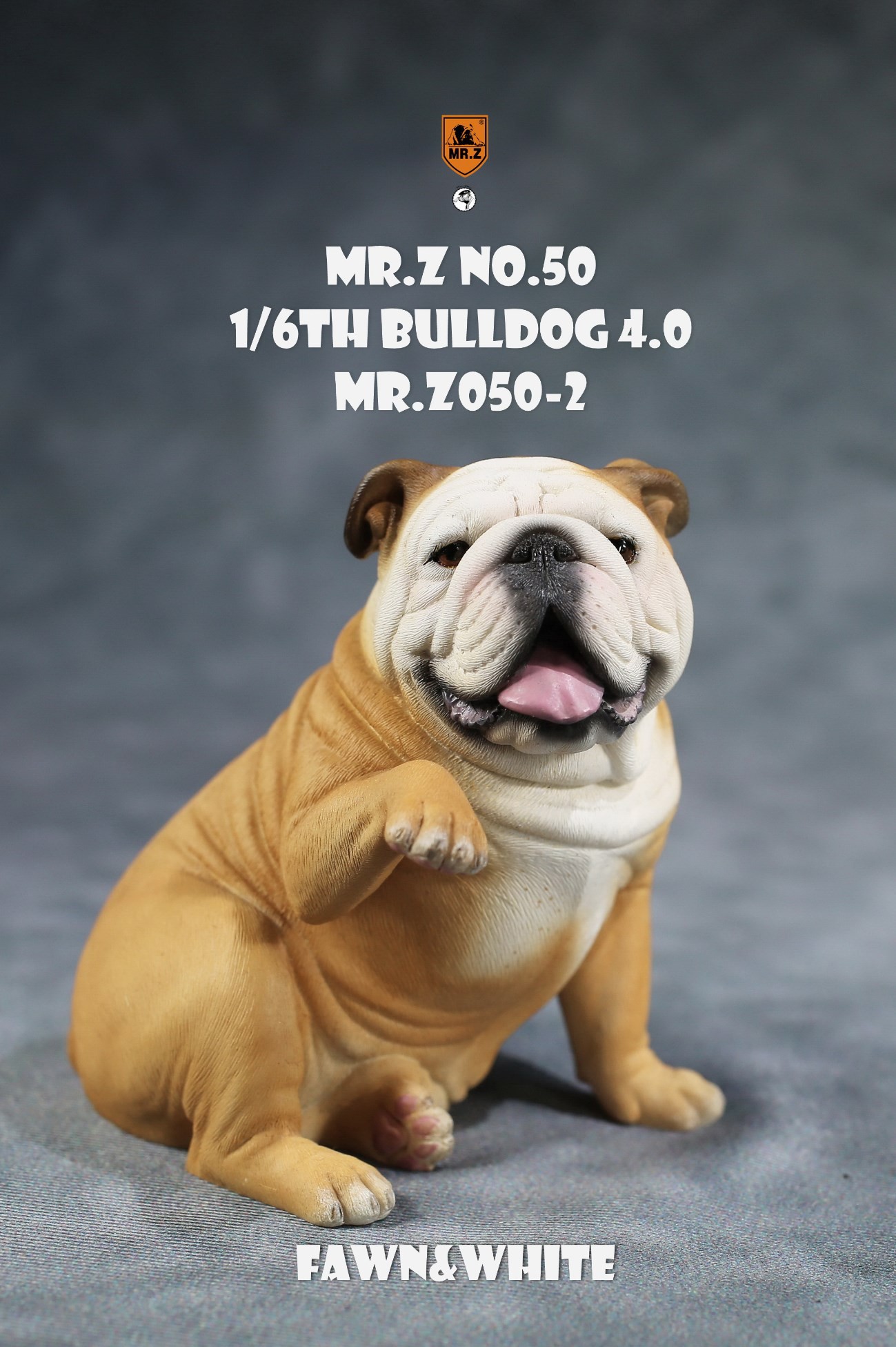 1/6 Animal Model No.50: 1/6th Bulldog V4.0 (all 5 colors)