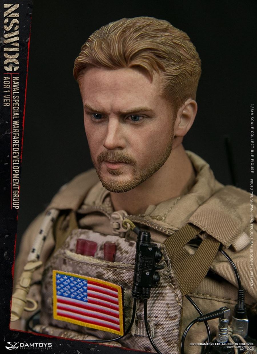  1/6 NSWDG NAVAL SPECIAL WARFARE DEVELOPMENT GROUP AOR1 VER