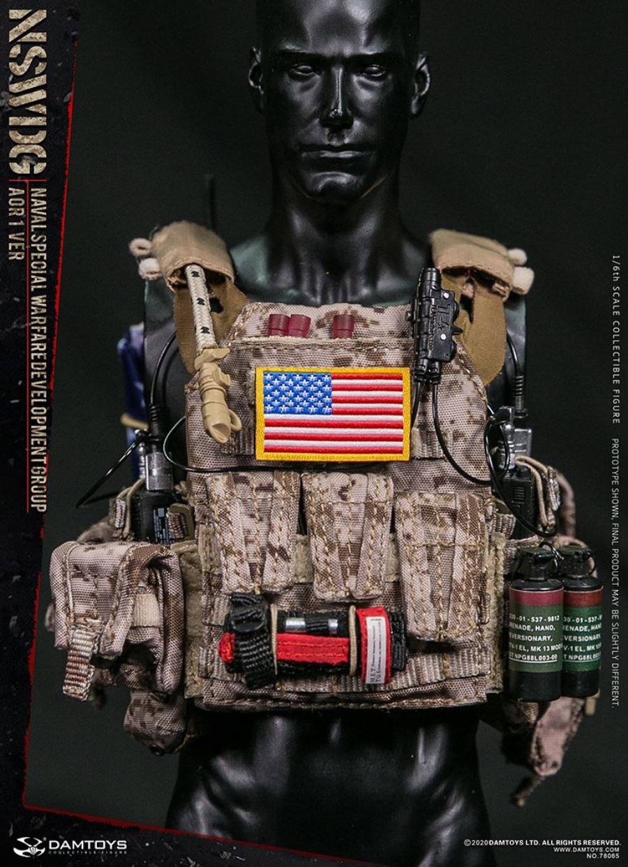  1/6 NSWDG NAVAL SPECIAL WARFARE DEVELOPMENT GROUP AOR1 VER