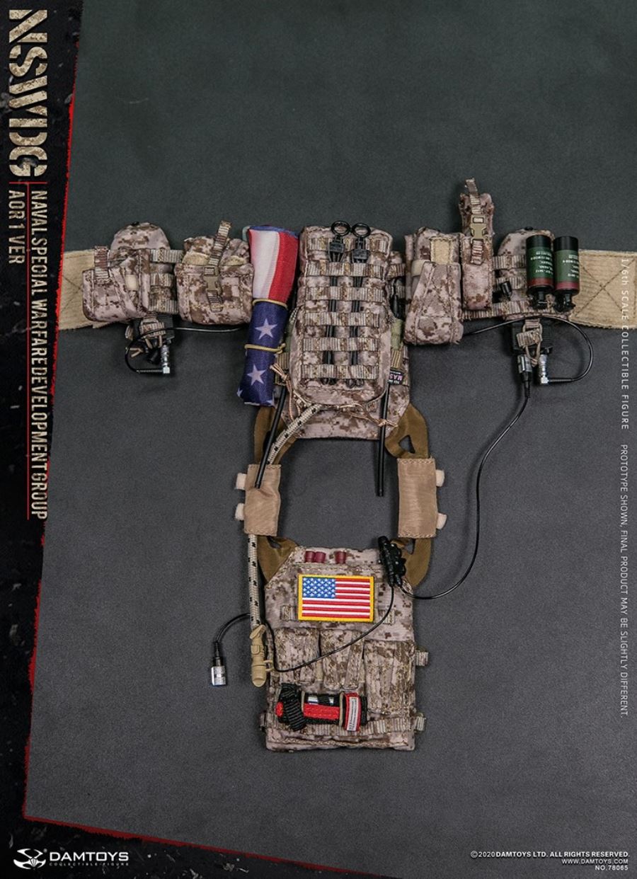  1/6 NSWDG NAVAL SPECIAL WARFARE DEVELOPMENT GROUP AOR1 VER