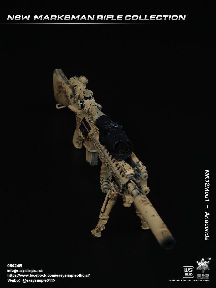 1/6 NSW Marksman Rifle Collection (06024)