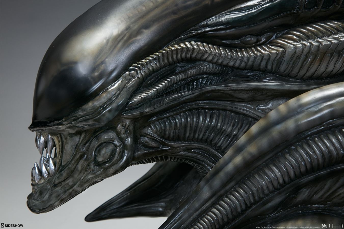 16.75 inch Alien Xenomorph Parasite Mythos Alien Bust (#400323)