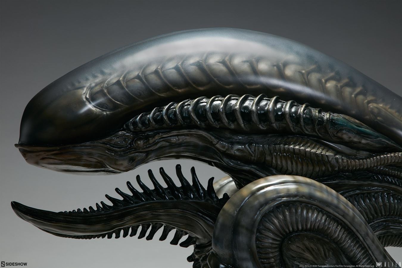16.75 inch Alien Xenomorph Parasite Mythos Alien Bust (#400323)