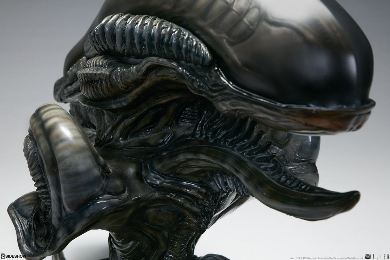 16.75 inch Alien Xenomorph Parasite Mythos Alien Bust (#400323)