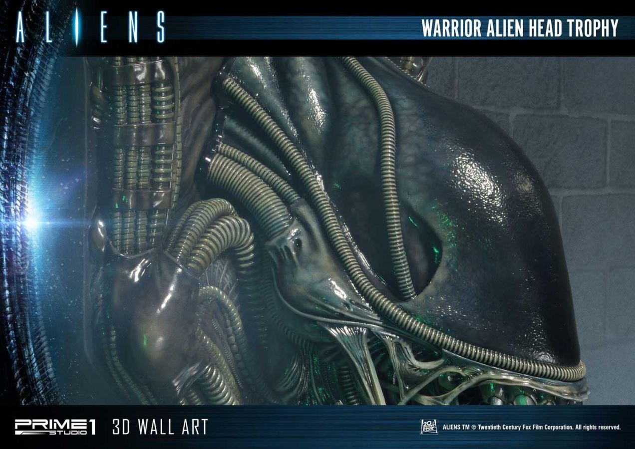 Alien Warrior Head Trophy 3D Wall Art