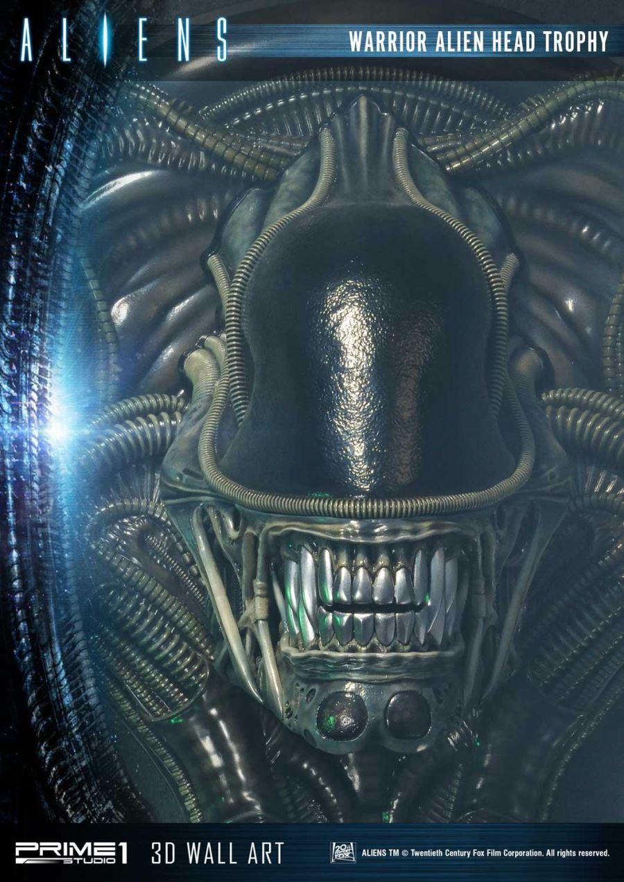 Alien Warrior Head Trophy 3D Wall Art