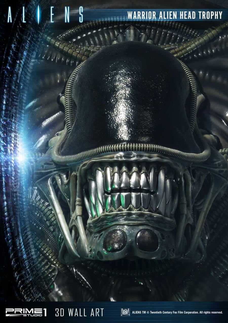 Alien Warrior Head Trophy 3D Wall Art